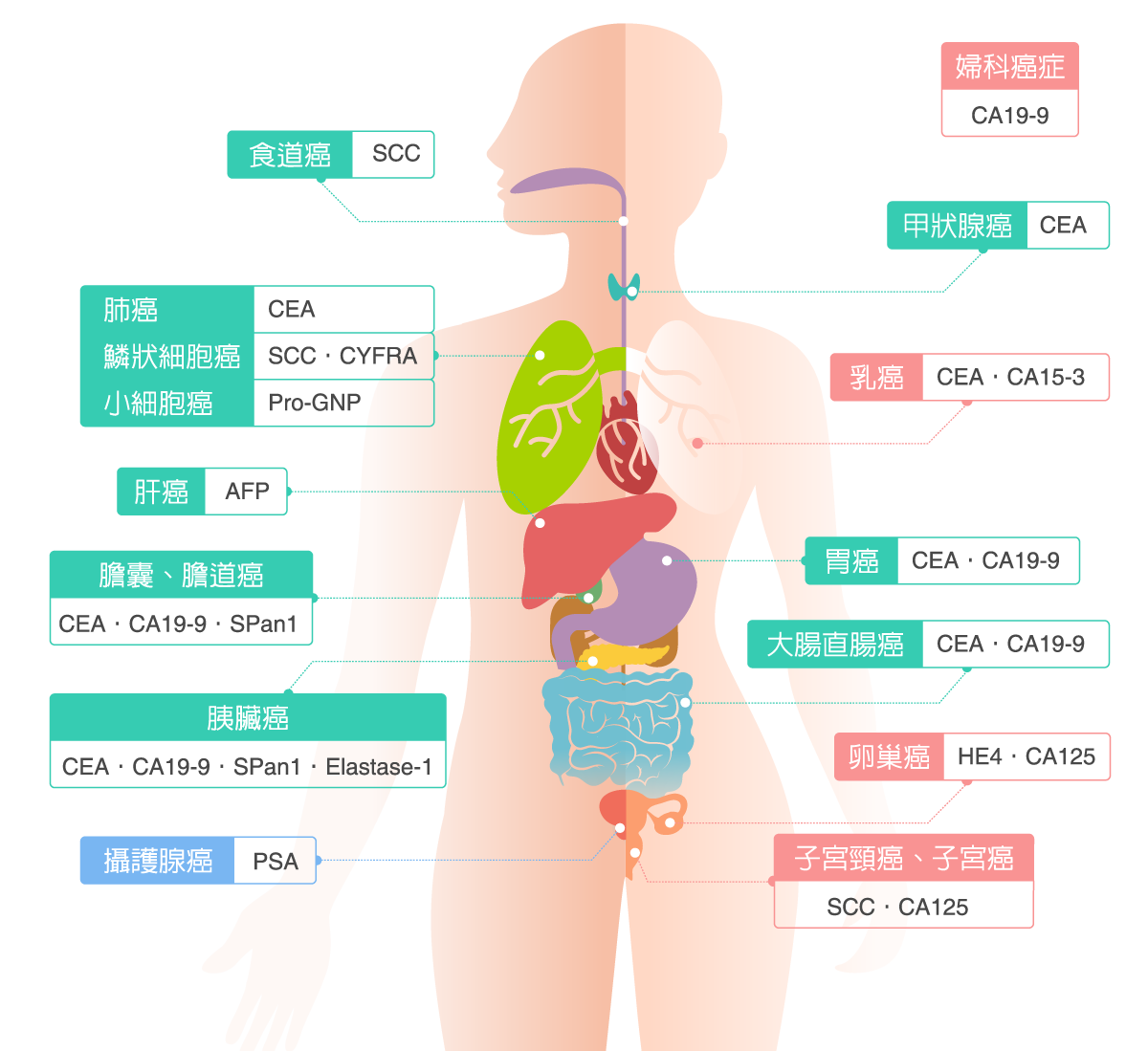Nagoya Atsuta Medical Clinic 日本熱田再生醫療中心