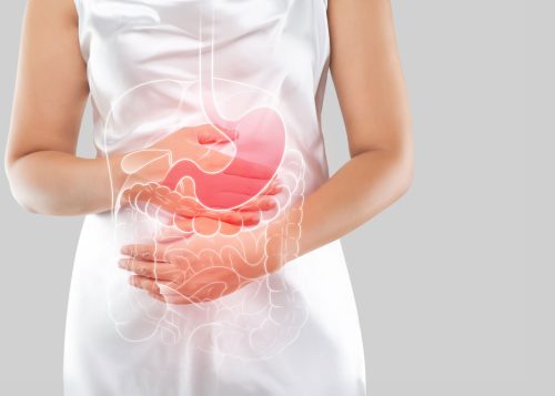 04illustration-internal-organs-is-woman-body-against-gray-background